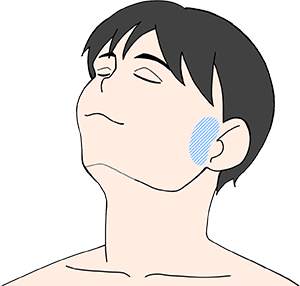 もみあげ