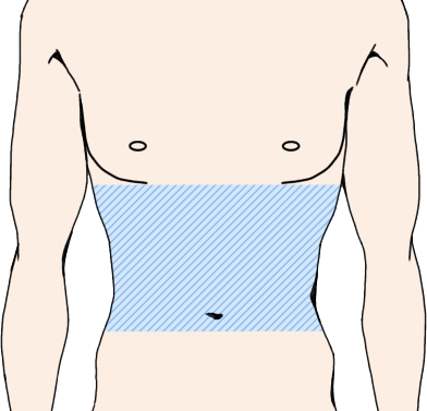 腹部　腹部全体