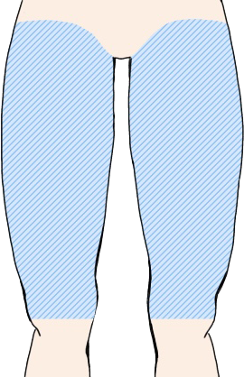 太もも　表