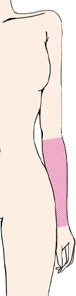 前腕　肘より下