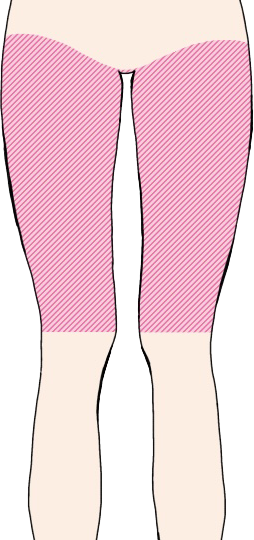 太もも　全体